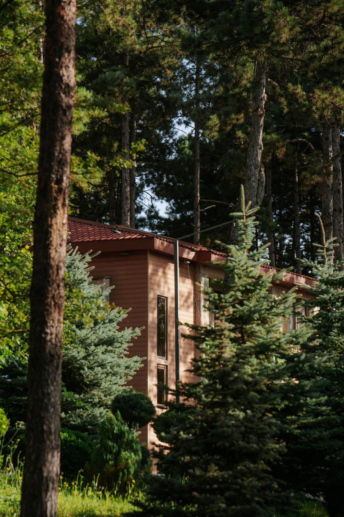 Zuzumbo Resort & Spa Telavi Exterior foto